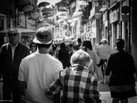 Fotografie di Matteo Ferrigato